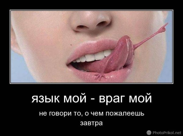 Держи язык за зубами