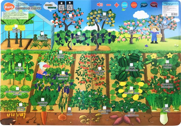 Развивающие плакаты для детей