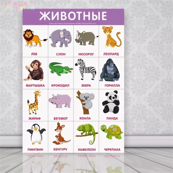 Развивающие плакаты для малышей