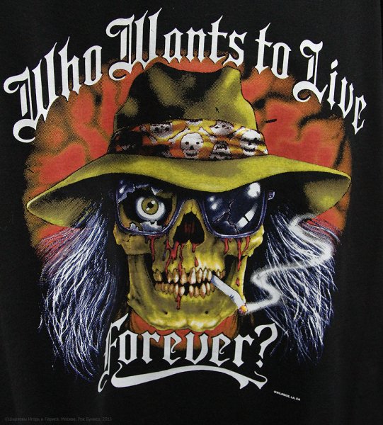 Рок бункер в.д.н.х