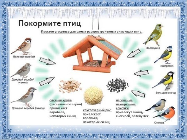 Корм для перелетных птиц