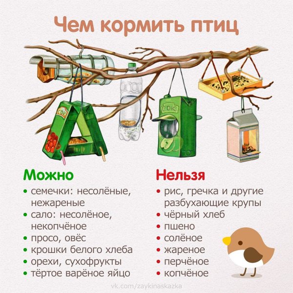 Корм для зимующих птиц в кормушку