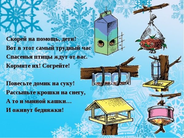 Стих про кормушку для птиц