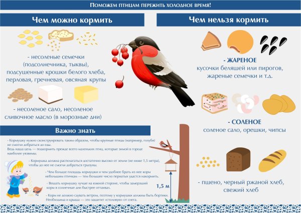 Синичкин день (помощь зимующим птицам)