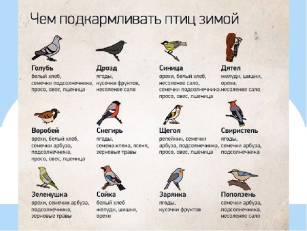 Плакат поможем зимующим птицам