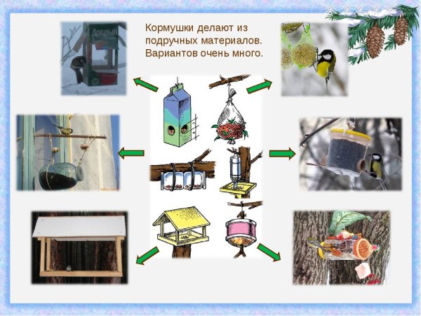 Кормление зимующих птиц