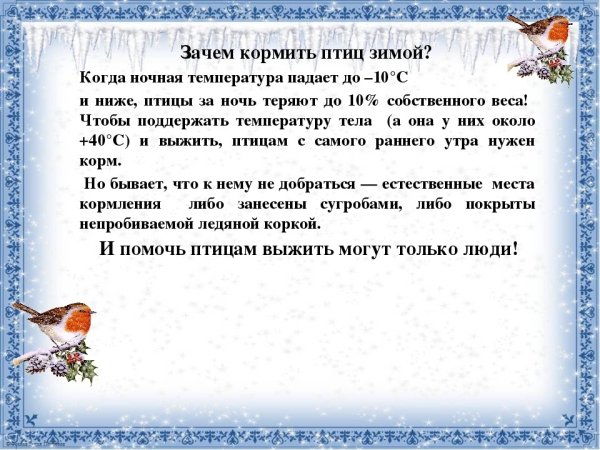 Требования к кормушкам для птиц