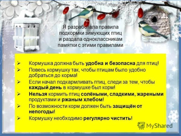 Подкормка зимующих птиц