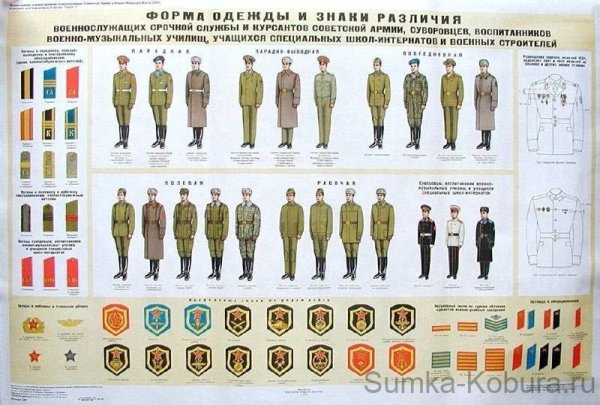 Цветные фигуры для детей