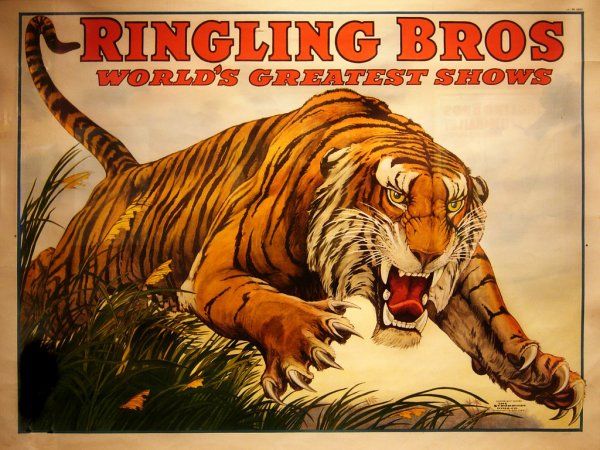 Тигр 2015 Постер