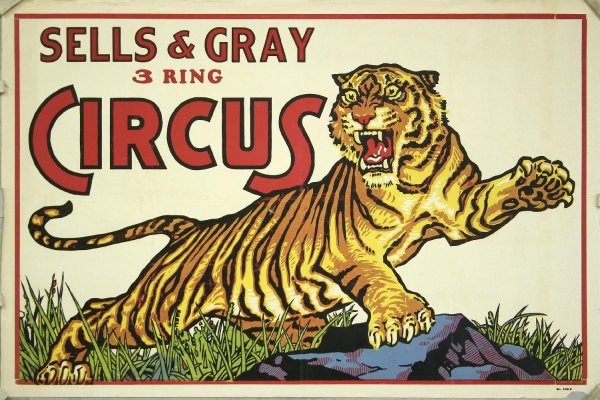 День защиты животных плакат