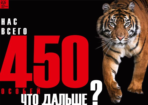 Рекламные плакаты с тиграми