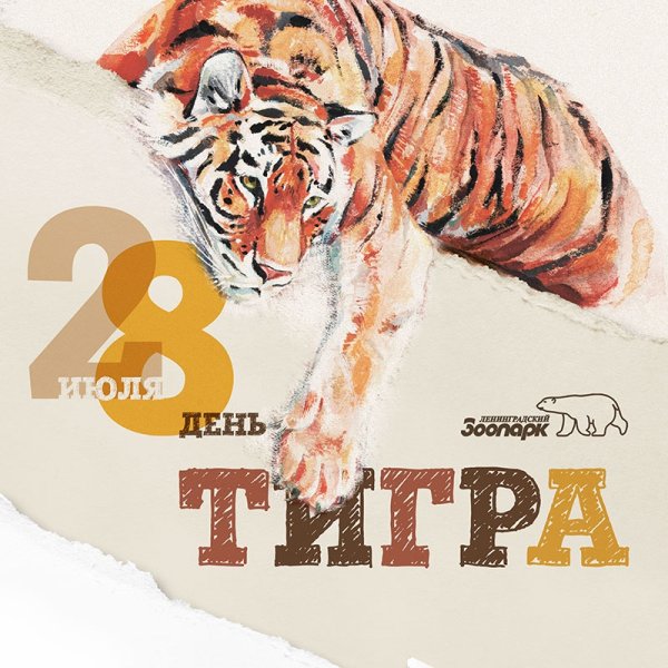 Плакат по защите Амурского тигра