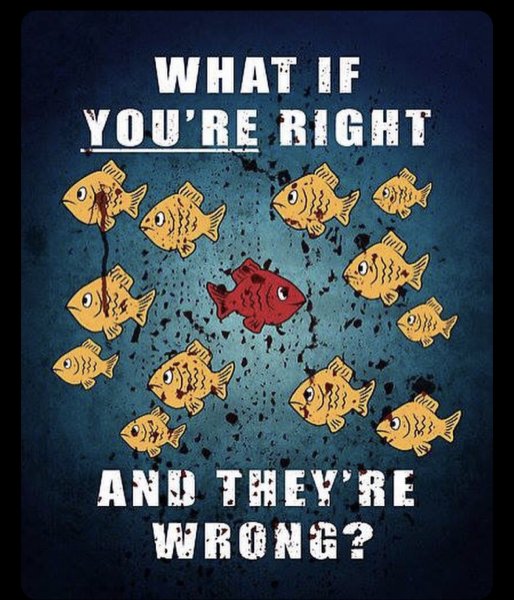 What if you're right and they're wrong плакат