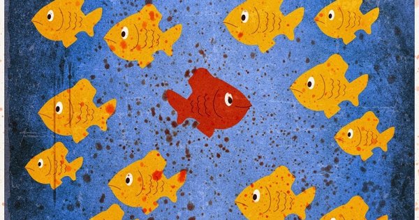 Fargo плакат с рыбками