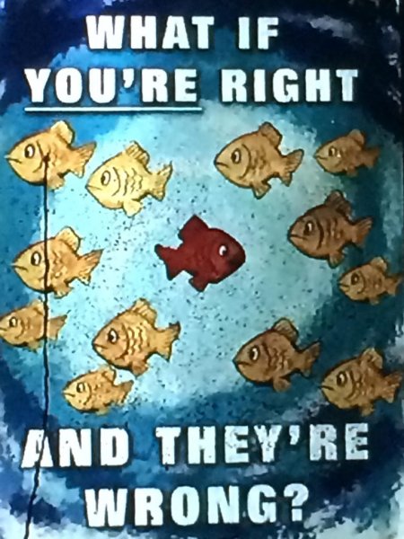 Фарго рыбки