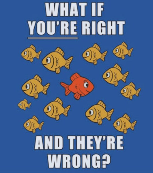 What if you're right and they're wrong плакат