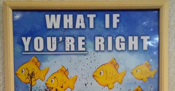 What if you're right and they're wrong плакат