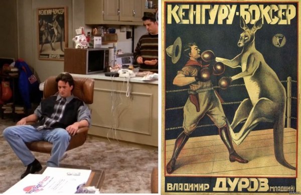 Кенгуру боксер Владимир Дуров