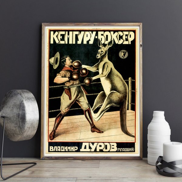 Постер кенгуру-боксер