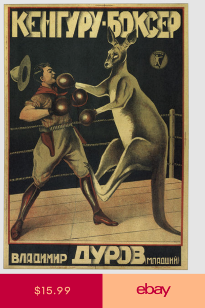 Кенгуру боксер Владимир Дуров