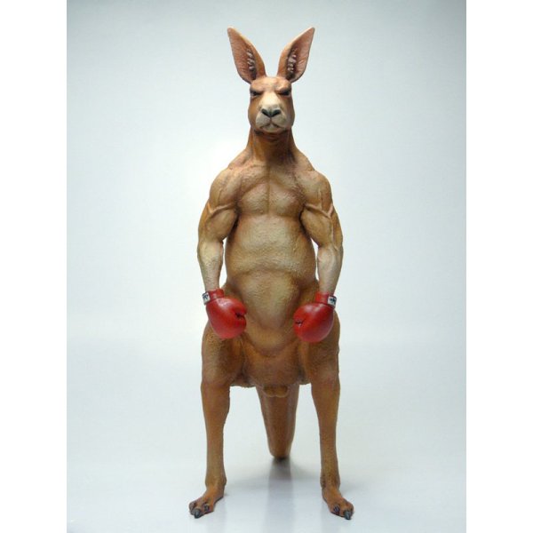 Постер кенгуру-боксер