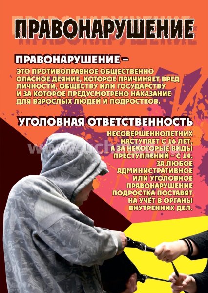 Профилактика правонарушений и преступлений