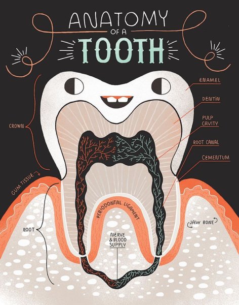 Постер зубы