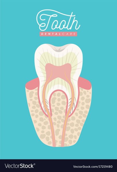 Постеры в стоматологию