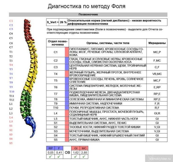 Нервная система человека анатомический атлас