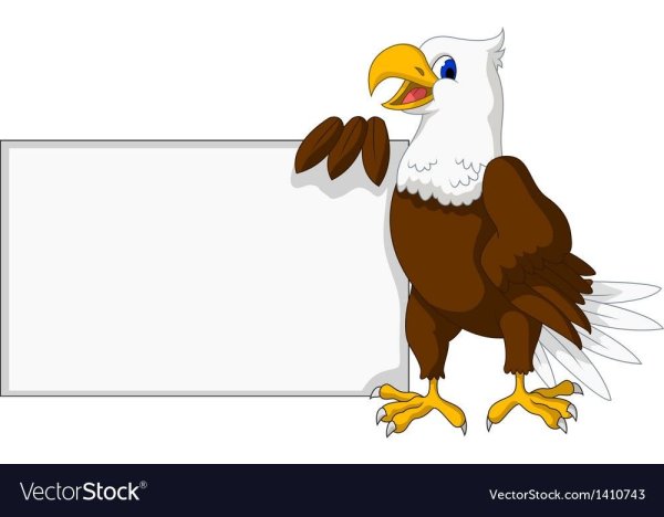 Орлята России на прозрачном фоне