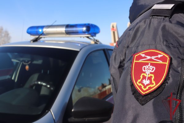 Всегда на страже