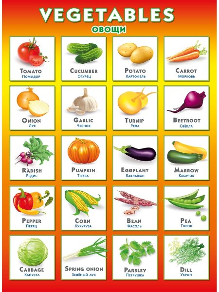 Овощи. Плакат