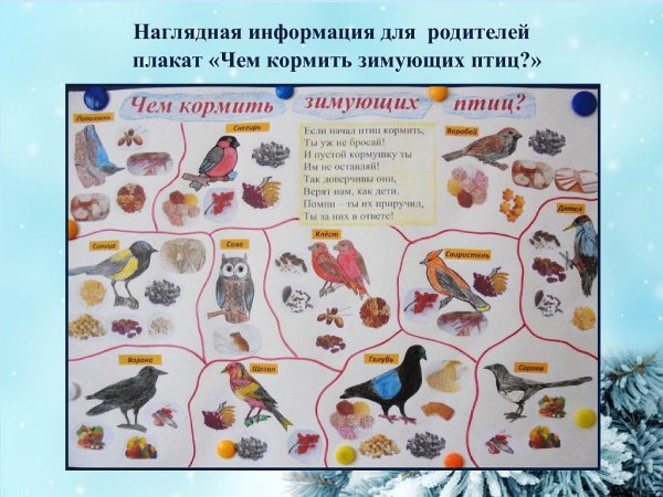 Акция день зимующих птиц в детском саду