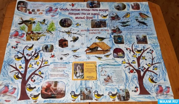 Оседлые зимующие птицы