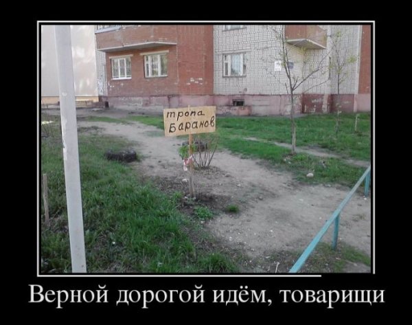 Плакат верной дорогой идёте