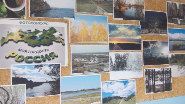 Моя гордость моя Россия