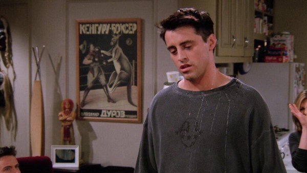 Кенгуру боксер сериал друзья