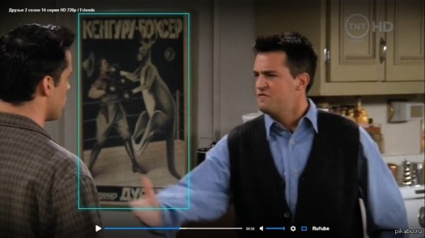 Кенгуру боксер Дуров