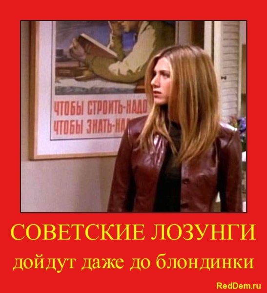 Кенгуру боксер из друзей