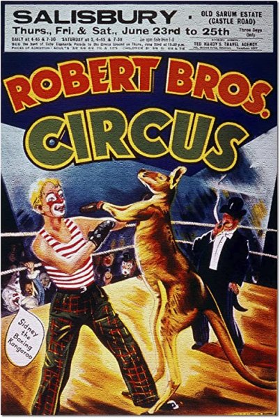 Кенгуру боксер Владимир Дуров