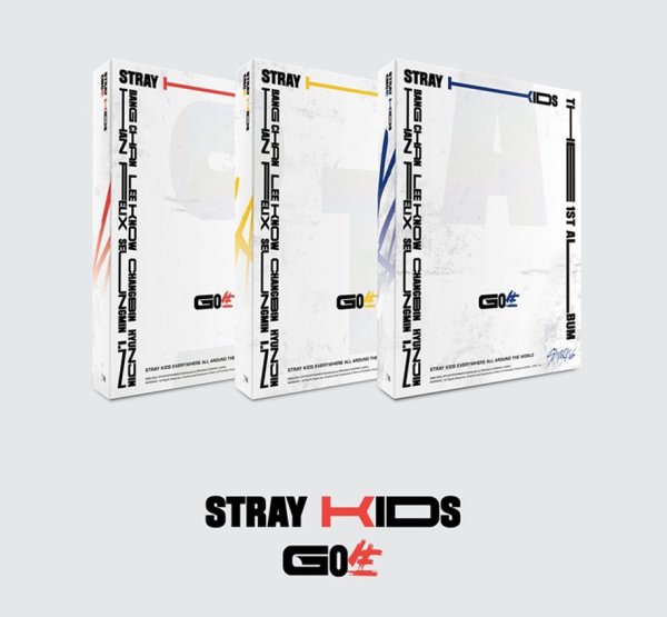 Stray Kids in Life album