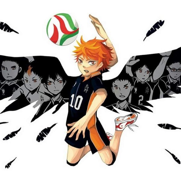 Хината шоё в полете