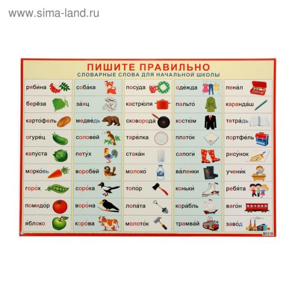 Пиши правильно словарные слова