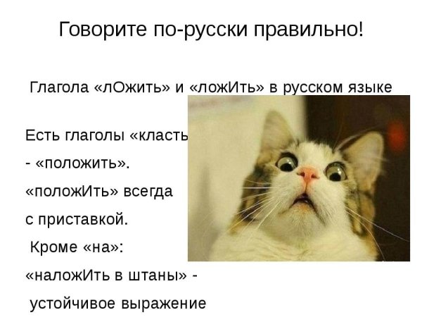 Говори по русски правильно