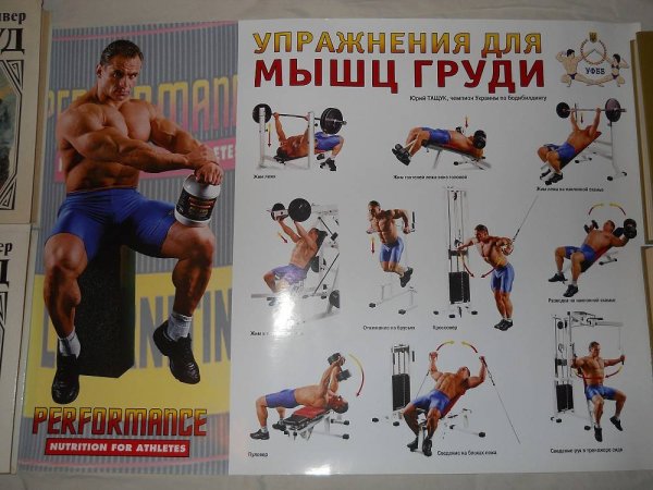 Плакаты для тренажерного зала