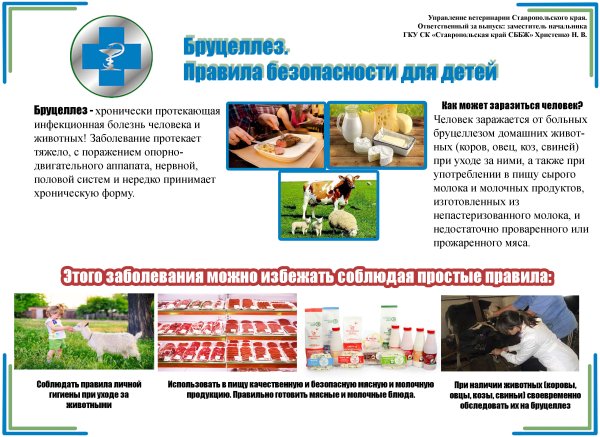 Профилактика бруцеллеза памятка