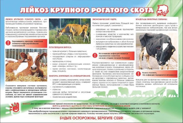 Памятка по уходу за домашними питомцами