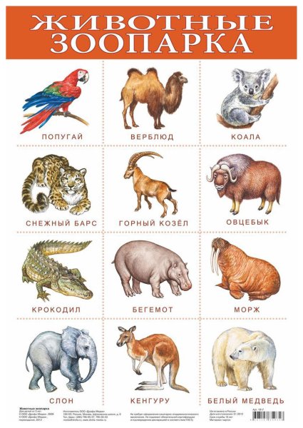 Животные названия