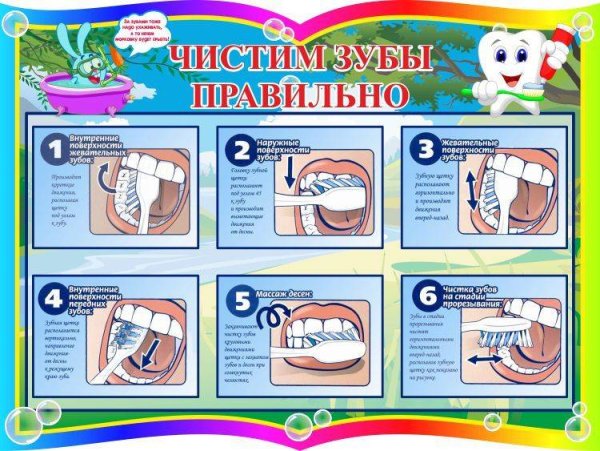 Зубная паста и зубная счетка вектор